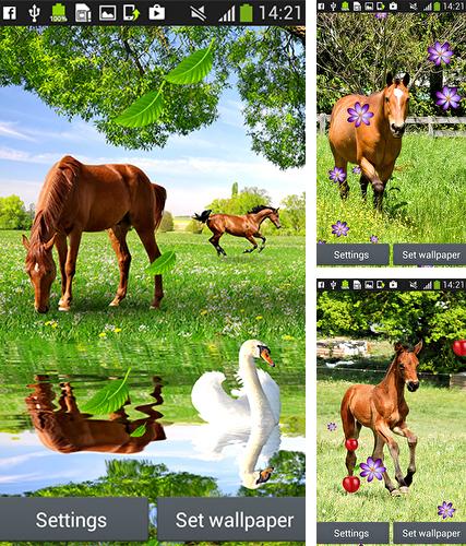 Baixe o papeis de parede animados Horses by Latest Live Wallpapers para Android gratuitamente. Obtenha a versao completa do aplicativo apk para Android Horses by Latest Live Wallpapers para tablet e celular.