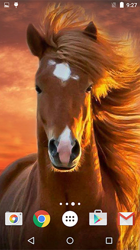 Horses by MISVI Apps for Your Phone für Android spielen. Live Wallpaper Pferde kostenloser Download.