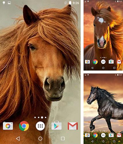 Kostenloses Android-Live Wallpaper Pferde. Vollversion der Android-apk-App Horses by MISVI Apps for Your Phone für Tablets und Telefone.