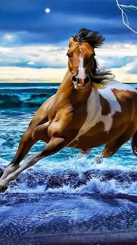Horses by Pro Live Wallpapers - бесплатно скачать живые обои на Андроид телефон или планшет.