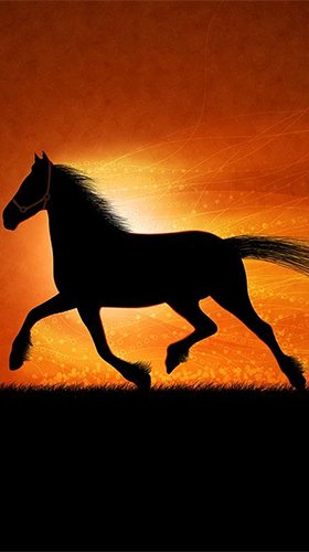 Horses by Pro Live Wallpapers - скриншоты живых обоев для Android.