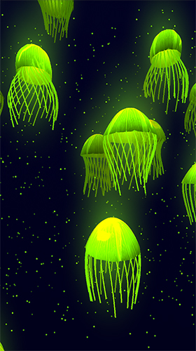 Jellyfish 3D by Womcd - безкоштовно скачати живі шпалери на Андроїд телефон або планшет.