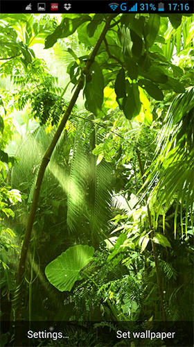 Jungle by LWP World - безкоштовно скачати живі шпалери на Андроїд телефон або планшет.