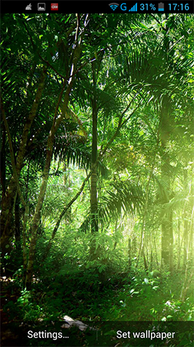 Fondos de pantalla animados a Jungle by LWP World para Android. Descarga gratuita fondos de pantalla animados Selva.
