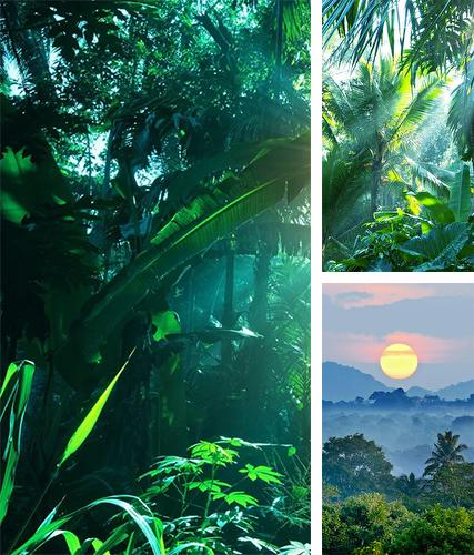 Jungle by Pro Live Wallpapers - бесплатно скачать живые обои на Андроид телефон или планшет.