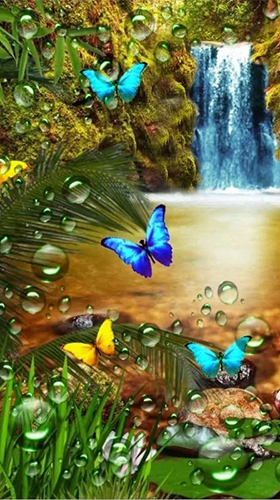 Download livewallpaper Jungle waterfall for Android. Get full version of Android apk livewallpaper Jungle waterfall for tablet and phone.