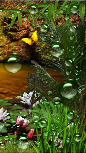 Download Jungle waterfall - livewallpaper for Android. Jungle waterfall apk - free download.