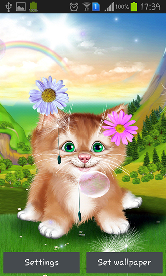 Écrans de Kitten pour tablette et téléphone Android.