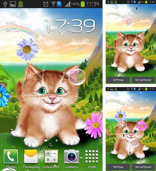 In addition to live wallpaper Black bubble for Android phones and tablets, you can also download Kitten for free.