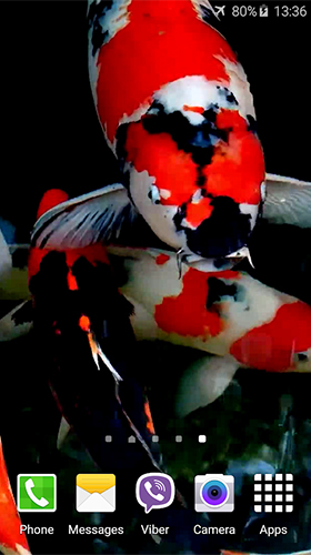 Screenshots of the Koi by Jacal Video Live Wallpapers for Android tablet, phone.