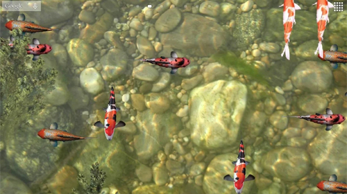 Screenshots of the Koi fish 3D for Android tablet, phone.