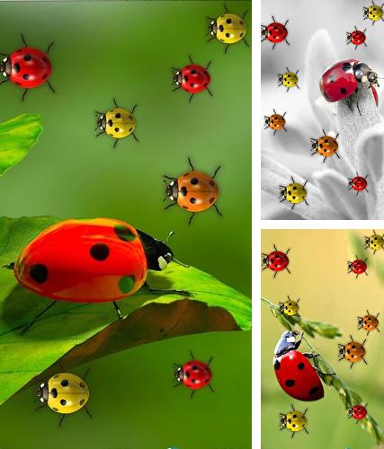 Kostenloses Android-Live Wallpaper Marienkäfer. Vollversion der Android-apk-App Ladybugs by 3D HD Moving Live Wallpapers Magic Touch Clocks für Tablets und Telefone.