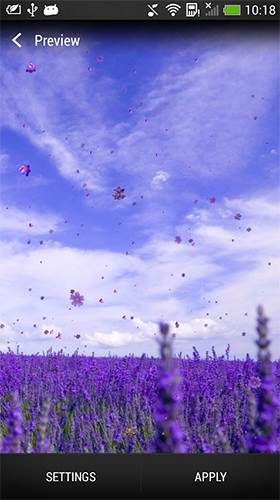 Lavender - бесплатно скачать живые обои на Андроид телефон или планшет.