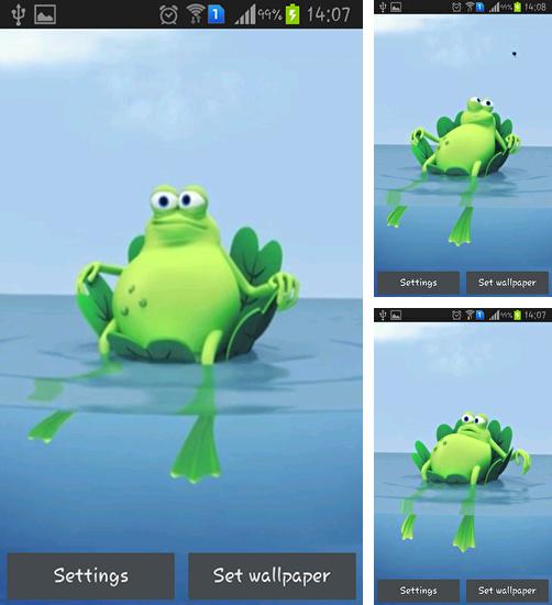 Kostenloses Android-Live Wallpaper Fauler Frosch. Vollversion der Android-apk-App Lazy frog für Tablets und Telefone.
