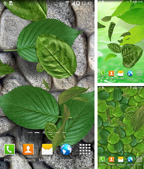Дополнительно к живым обоям на Андроид телефоны и планшеты Сердечность, вы можете также бесплатно скачать заставку Leaves 3D.