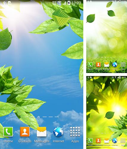 Descarga gratuita fondos de pantalla animados Hojas  para Android. Consigue la versión completa de la aplicación apk de Leaves by BlackBird Wallpapers para tabletas y teléfonos Android.