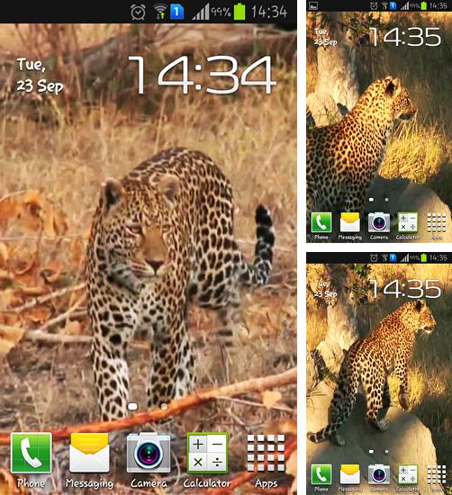 Kostenloses Android-Live Wallpaper Leopard. Vollversion der Android-apk-App Leopard für Tablets und Telefone.