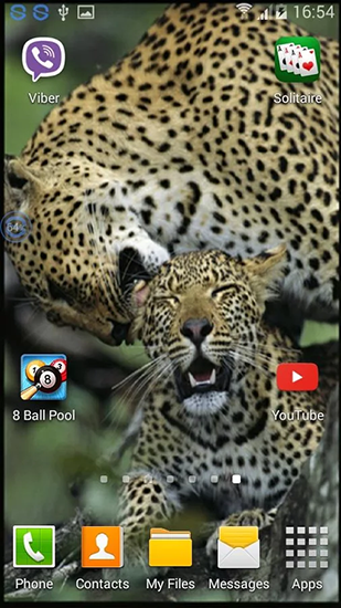 Leopards: shake and change - бесплатно скачать живые обои на Андроид телефон или планшет.