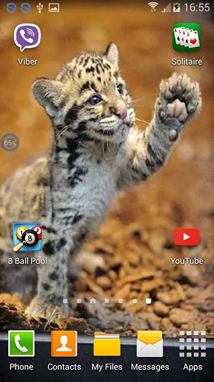 Fondos de pantalla animados a Leopards: shake and change para Android. Descarga gratuita fondos de pantalla animados Leopardos: Sacudelo y cambia .