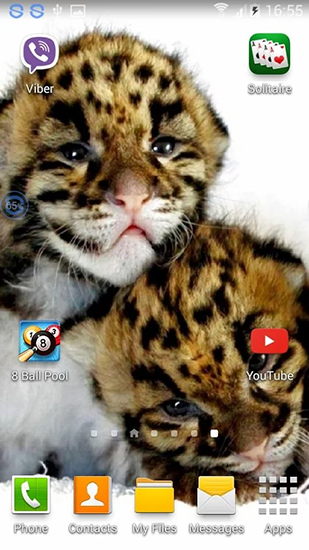 Скриншот Leopards: shake and change. Скачать живые обои на Андроид планшеты и телефоны.