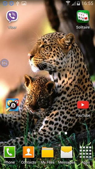 Capturas de pantalla de Leopards: shake and change para tabletas y teléfonos Android.