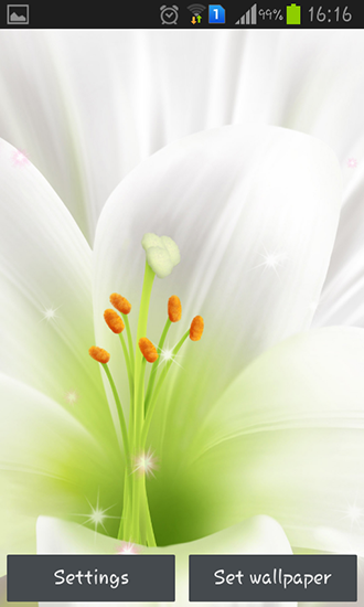 Download Lily - livewallpaper for Android. Lily apk - free download.