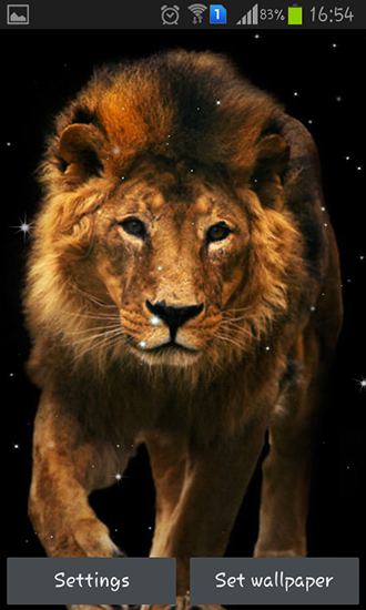 Lion - бесплатно скачать живые обои на Андроид телефон или планшет.