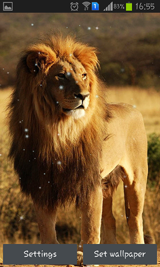 Download Lion - livewallpaper for Android. Lion apk - free download.