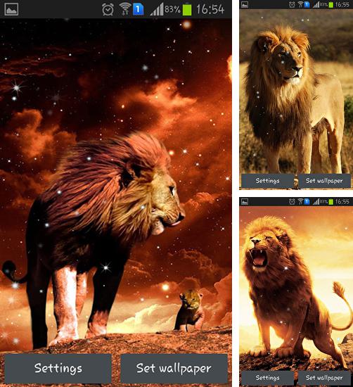 Додатково до живої шпалери Осінній клен для Android телефонів та планшетів, Ви можете також безкоштовно скачати Lion.