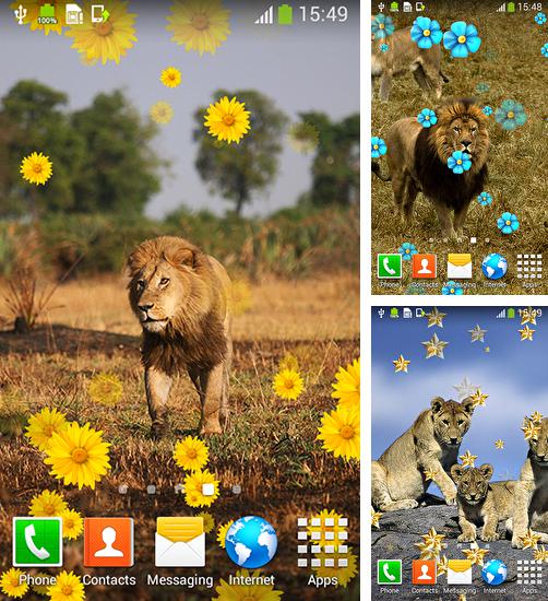 Дополнительно к живым обоям на Андроид телефоны и планшеты Попугаи, вы можете также бесплатно скачать заставку Lion by Live Wallpapers Free.