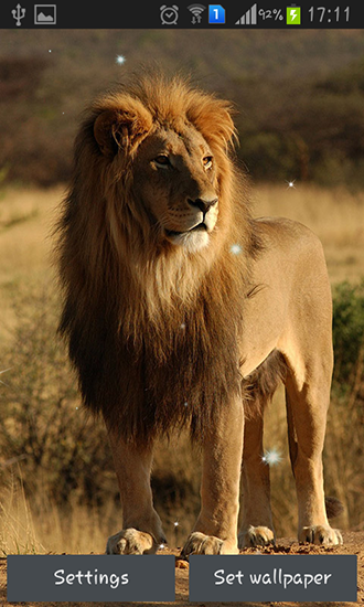 Download Lions - livewallpaper for Android. Lions apk - free download.