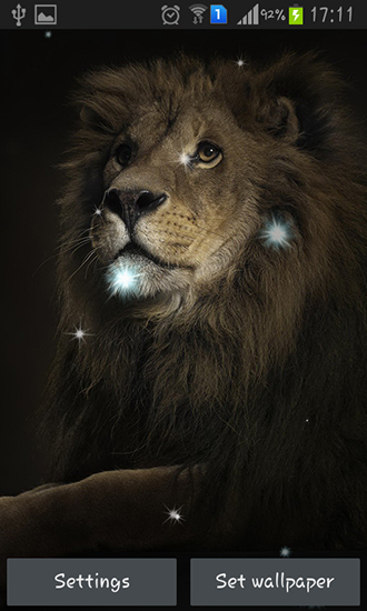 Screenshots of the Lions for Android tablet, phone.