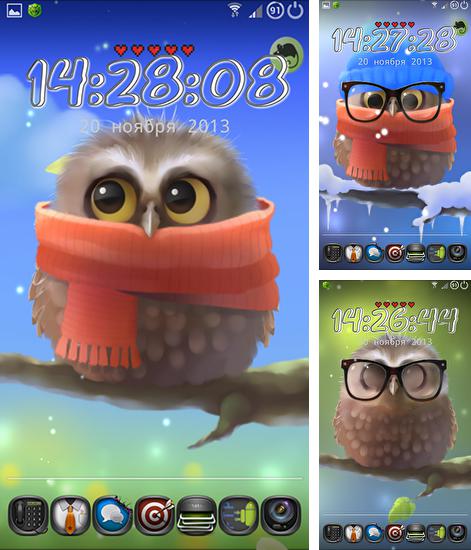 Kostenloses Android-Live Wallpaper Kleine Eule. Vollversion der Android-apk-App Little owl für Tablets und Telefone.