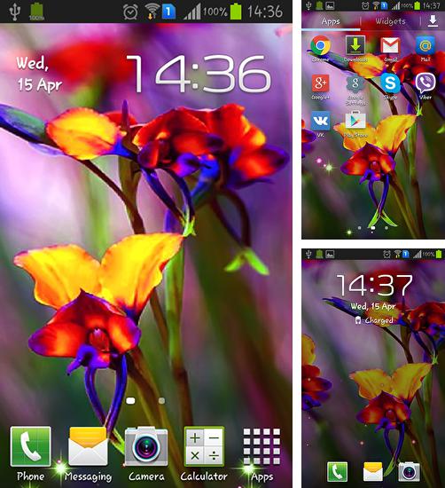Дополнительно к живым обоям на Андроид телефоны и планшеты Панорама города, вы можете также бесплатно скачать заставку Little summer flowers.