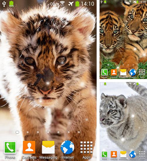 Zusätzlich zum Live Wallpaper Pfau für Android Mobiltelefone und Tablets, können Sie auch Little tiger, Kleiner Tiger kostenlos herunterladen.