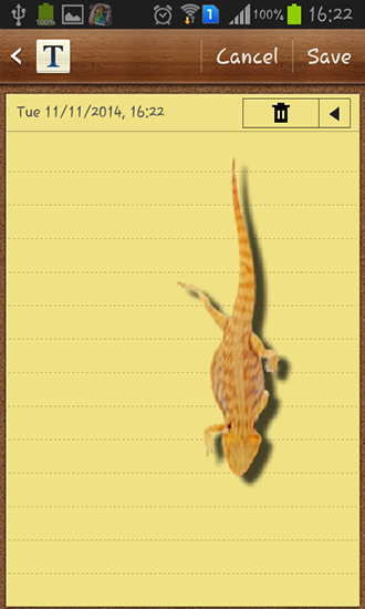 Screenshots of the Lizard in phone for Android tablet, phone.