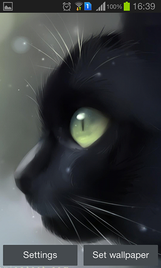 Fondos de pantalla animados a Lonely black kitty para Android. Descarga gratuita fondos de pantalla animados Gatito negro solitario .