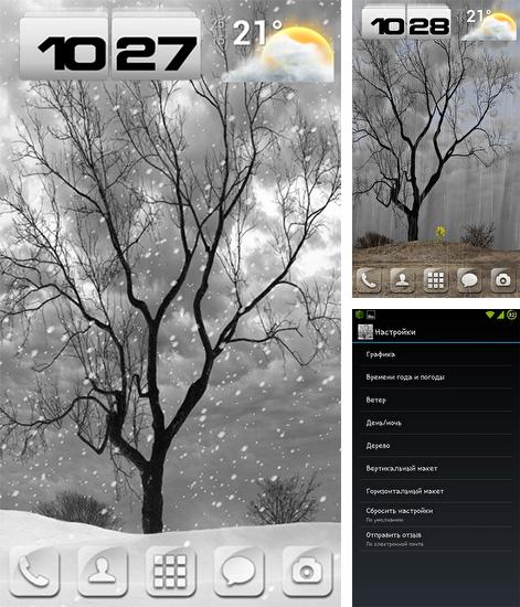 Télécharger le fond d'écran animé gratuit L`arbre solitaire . Obtenir la version complète app apk Android Lonely tree pour tablette et téléphone.