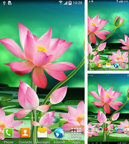 Kostenloses Android-Live Wallpaper Lotos. Vollversion der Android-apk-App Lotus für Tablets und Telefone.