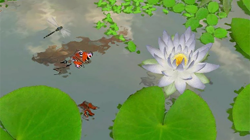 Download livewallpaper Lotus 3D for Android. Get full version of Android apk livewallpaper Lotus 3D for tablet and phone.