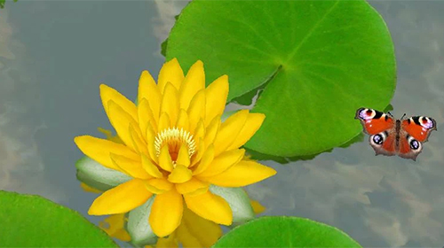 Screenshots of the Lotus 3D for Android tablet, phone.