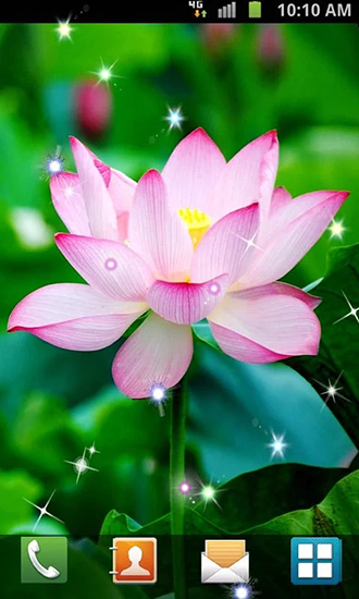 Lotus by Venkateshwara apps - скріншот живих шпалер для Android.