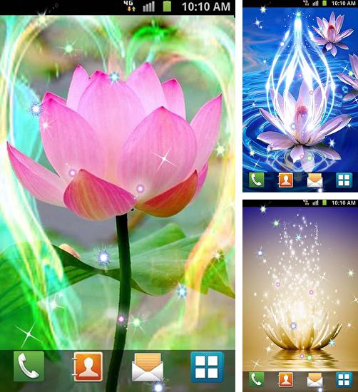 Descarga gratuita fondos de pantalla animados Lotos  para Android. Consigue la versión completa de la aplicación apk de Lotus by Venkateshwara apps para tabletas y teléfonos Android.