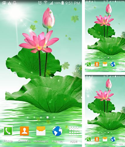 Kostenloses Android-Live Wallpaper Lotus. Vollversion der Android-apk-App Lotus by villeHugh für Tablets und Telefone.