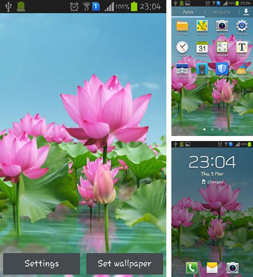 En plus du fond d'écran Horloge  pour téléphones et tablettes Android, vous pouvez aussi télécharger gratuitement Etang avec des lotus, Lotus pond.