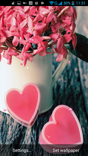 Télécharger le fond d'écran animé gratuit Amour et fleurs . Obtenir la version complète app apk Android Love and flowers pour tablette et téléphone.