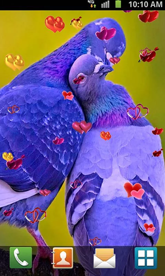 Fondos de pantalla animados a Love: Birds para Android. Descarga gratuita fondos de pantalla animados Amor: Pájaros .