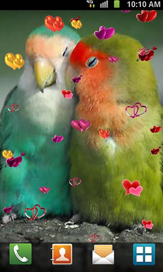 Як виглядають живі шпалери Love: Birds.