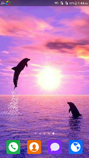 Lovely dolphin - безкоштовно скачати живі шпалери на Андроїд телефон або планшет.
