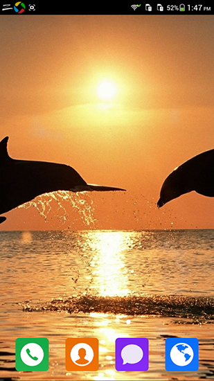 Lovely dolphin für Android spielen. Live Wallpaper Liebevoller Delphin kostenloser Download.